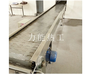 济南链板输送机